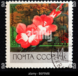 Glaïeul (Gladiolus gandavensis hybridus), timbre-poste, URSS, 1969 Banque D'Images