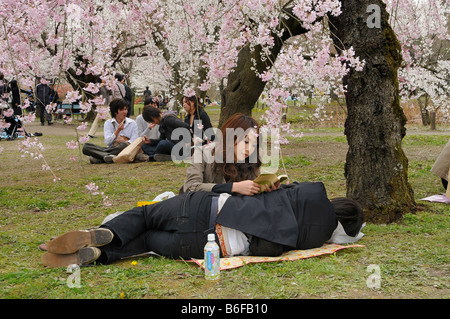 Jeune couple sous les cerisiers en fleurs tout en célébrant le festival des cerisiers en fleur dans les jardins botaniques, Kyoto, Japon Banque D'Images