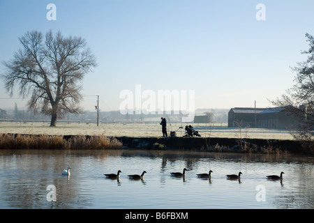 Un pêcheur au petit matin et des oies, la Tamise, Wallingford, Oxfordshire Banque D'Images