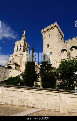 Le Palais des Papes à Avignon, Provence, France, Europe Banque D'Images