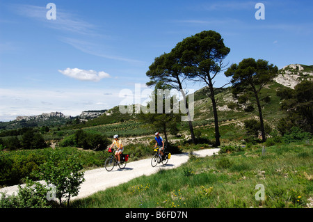 Les cyclistes près de Les Baux de Provence, Provence, France, Europe Banque D'Images