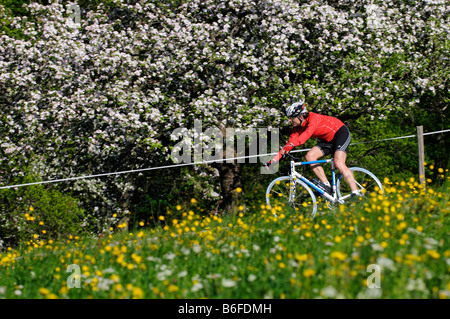 Coureurs équitation passé un pré fleuri et des arbres fruitiers en fleurs, Samerberg, Chiemgau, Bavaria, Germany, Europe Banque D'Images