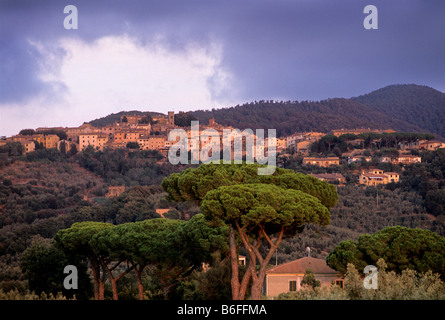 Castagneto Carducci, province de Livourne, Toscane, Italie, Europe Banque D'Images