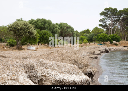 Bateau couché à l'envers sur seeweed le long de la côte d'Alcanada près d'Alcudia, Majorque, Iles Baléares, Espagne, Europe Banque D'Images