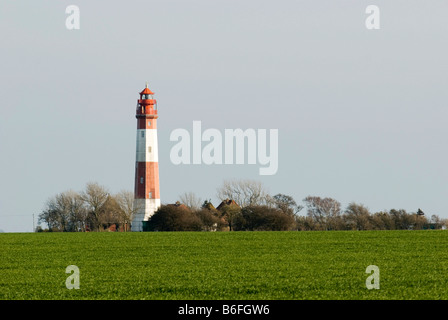 Phare dans Krummsteert Fluegge réserve naturelle sur l'île de Fehmarn, Schleswig-Holstein, Allemagne, Europe Banque D'Images