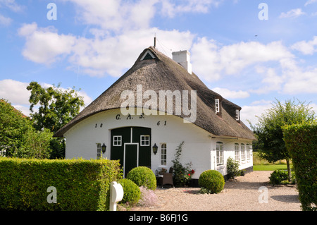 Maison au toit de chaume à Sieseby, Schlei, Schleswig-Holstein, Allemagne, Europe Banque D'Images