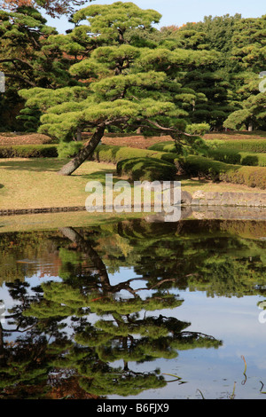 Japon Tokyo Jardins du Palais Banque D'Images