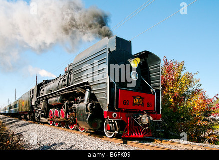 Une locomotive à vapeur chinois QJ voyages à travers les bois. Banque D'Images