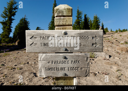 Panneau de la célèbre Pacific Crest Trail sentier de grande randonnée, le Mont Hood, Cascades, dans l'Oregon, USA Banque D'Images
