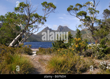 Cradle Mountain par Dove Lake, Cradle Mountain Lake St Clair National Park, Tasmanie, Australie Banque D'Images