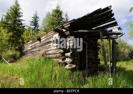 Bâtiment ancien log cabin, trappeurs, de Hootalinqua, Territoire du Yukon, Canada, Amérique du Nord Banque D'Images