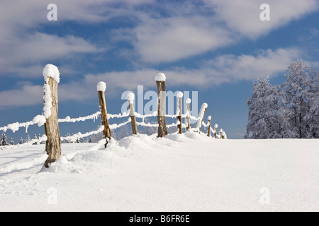 Paysage d'hiver paysage, clôture, Bavaria, Germany, Europe Banque D'Images