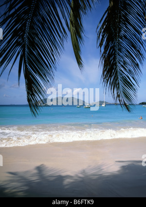 Surf sur une partie de plage de Cane Garden Bay vu à travers surplombant des feuilles de palmier avec de petits bateaux & peu de nageurs au-delà de la médecine tropicale et de Tortola BVI Banque D'Images