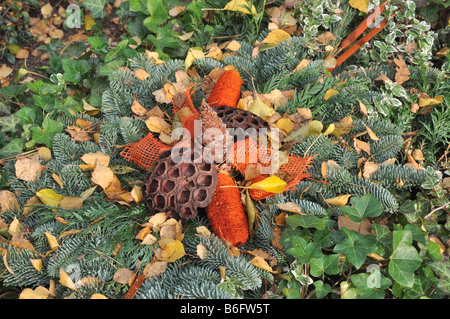 Décoration grave avec des branches de sapin et teints de parties de plantes Banque D'Images