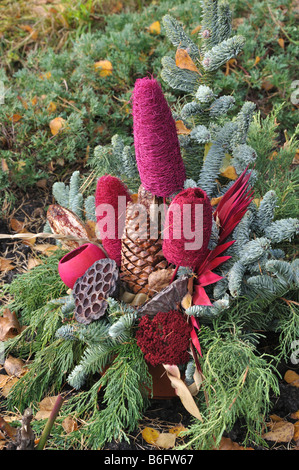 Décoration grave avec des branches de sapin, cônes et teints de parties de plantes Banque D'Images