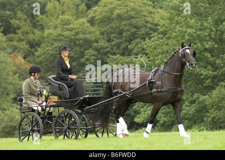 Un concurrent à un essai de conduite à cheval - Borde Hill, West Sussex. Banque D'Images