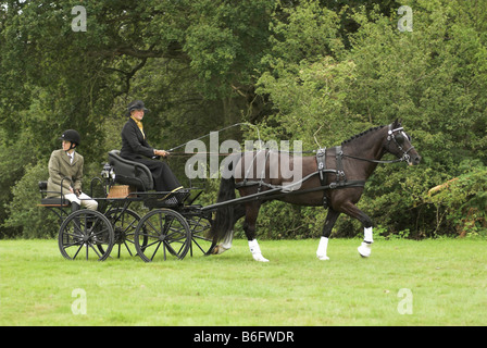 Un concurrent à un essai de conduite à cheval - Borde Hill, West Sussex. Banque D'Images