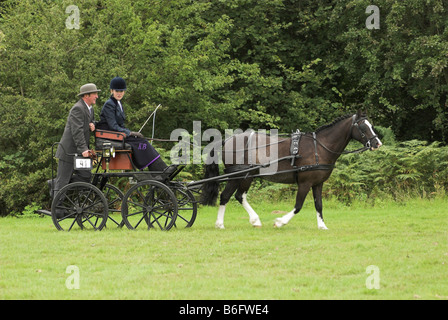 Un concurrent à un essai de conduite à cheval - Borde Hill, West Sussex. Banque D'Images