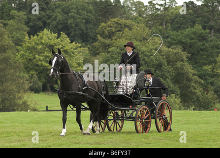 Un concurrent à un essai de conduite à cheval - Borde Hill, West Sussex. Banque D'Images