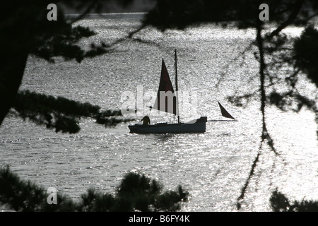 Les pêcheurs d'huîtres à Falmouth bateaux de travail de la voile sur la Carrick Roads Cornwall en hiver Banque D'Images