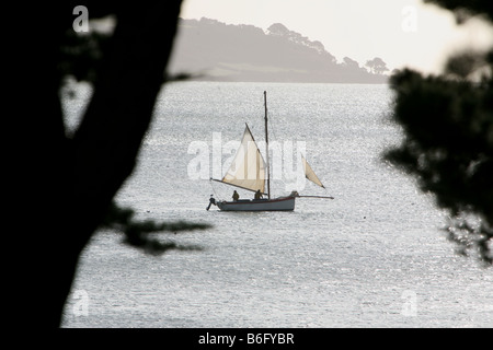 Les pêcheurs d'huîtres à Falmouth bateaux de travail de la voile sur la Carrick Roads Cornwall en hiver Banque D'Images