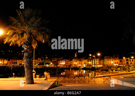 Allumé en palmier en port, village français, Cassis, Provence, France, Europe Banque D'Images