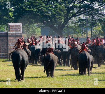 Cornacs et leurs éléphants à l'éléphant le Roundup à Surin Thaïlande Banque D'Images