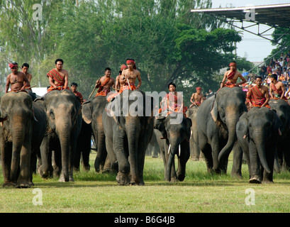 Cornacs et leurs éléphants à l'éléphant le Roundup à Surin Thaïlande Banque D'Images