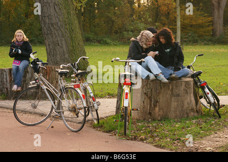 Les filles teenagers sitting on tree Park en fusée à Rotterdam, Pays-Bas vélos ayant chat Banque D'Images