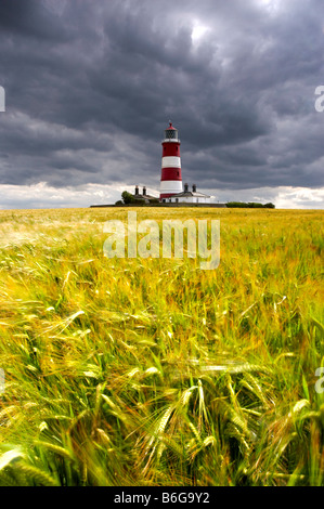 Happisburgh Phare contre un ciel d'orage dans un champ d'orge d'été Banque D'Images