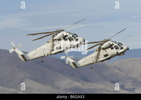 Hélicoptères Seasprite Kaman SH 2G Seasprite sur Warbirds Airshow Wanaka Wanaka ile sud Nouvelle Zelande Banque D'Images