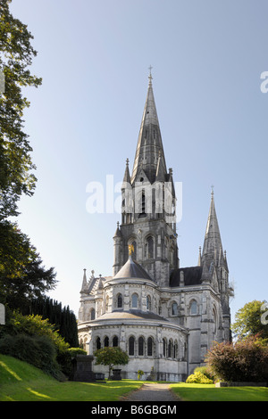 St Finn Barres Cathedral Cork Banque D'Images