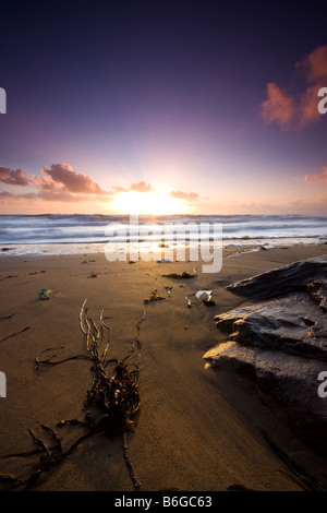 Les algues Tregantle Whitsand Bay Plage Cornwall UK Banque D'Images