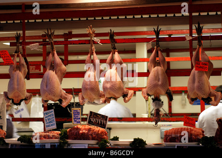 Free Range des dindes à Noël, Marché couvert d'Oxford, Oxfordshire, England, UK Banque D'Images