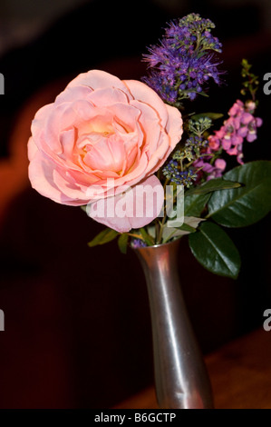 Vase en argent rose rose Banque D'Images