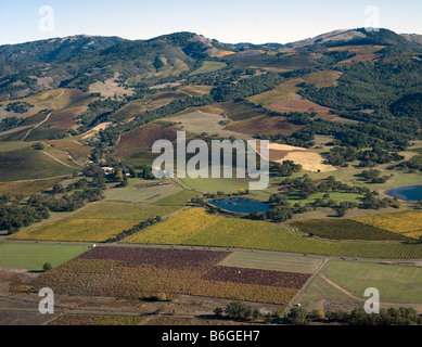 Vue aérienne au-dessus des vignobles de la Vallée de Sonoma en Californie du nord au printemps Banque D'Images
