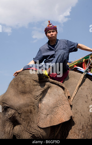 Pilote de l'éléphant, Mahout, assis sur la tête de l'éléphant, Hongsa Elephant Festival, Laos Banque D'Images