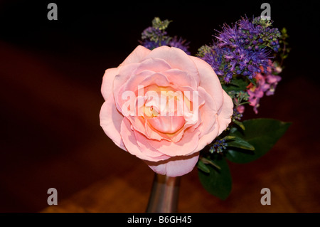 Vase en argent rose rose Banque D'Images