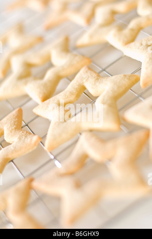 Biscuits au gingembre en forme d'étoiles portées sur une grille de refroidissement. Ils ont ensuite été emballés dans de petites boîtes à donner pour des cadeaux de Noël. Banque D'Images