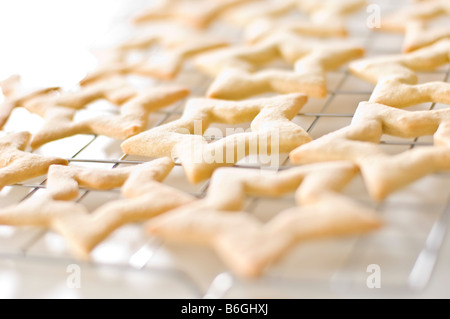 Biscuits au gingembre en forme d'étoiles portées sur une grille de refroidissement. Ils ont ensuite été emballés dans de petites boîtes à donner pour des cadeaux de Noël. Banque D'Images