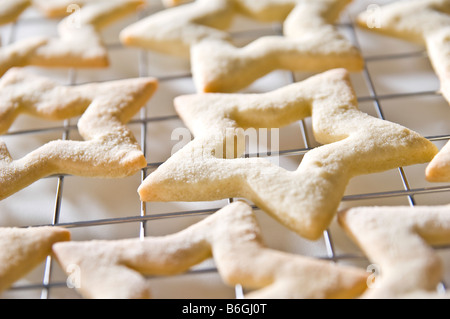 Biscuits au gingembre en forme d'étoiles portées sur une grille de refroidissement. Ils ont ensuite été emballés dans de petites boîtes à donner pour des cadeaux de Noël. Banque D'Images