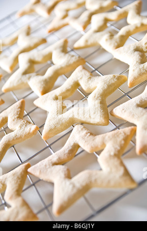 Biscuits au gingembre en forme d'étoiles portées sur une grille de refroidissement. Ils ont ensuite été emballés dans de petites boîtes à donner pour des cadeaux de Noël. Banque D'Images