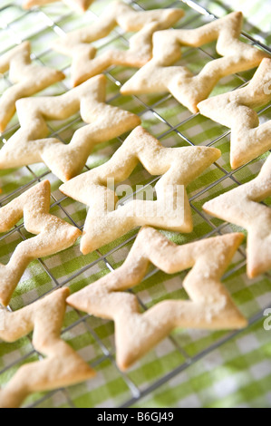 Biscuits au gingembre en forme d'étoiles portées sur une grille de refroidissement. Ils ont ensuite été emballés dans de petites boîtes à donner pour des cadeaux de Noël. Banque D'Images