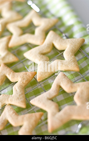 Biscuits au gingembre en forme d'étoiles portées sur une grille de refroidissement. Ils ont ensuite été emballés dans de petites boîtes à donner pour des cadeaux de Noël. Banque D'Images