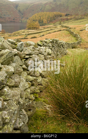 Vue en regardant le Rigg sur le réservoir de Haweswater Riggindale Lake District Cumbria Uk Banque D'Images