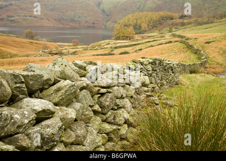 Vue en regardant le Rigg sur le réservoir de Haweswater Riggindale Lake District Cumbria Uk Banque D'Images