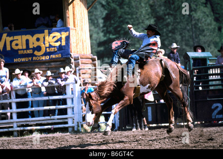 Cawston, BC, en Colombie-Britannique, Canada - Chopaka Rodeo, Similkameen Valley, voltige, Cowboy Cavalier au cheval sauvage Banque D'Images