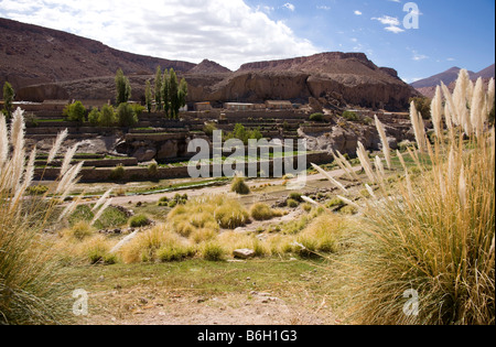 Caspana, montrant les terrasses d'irrigation, Désert d'Atacama au Chili, paysage Banque D'Images