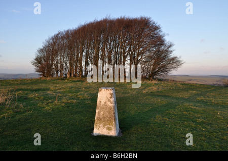 Trig point sur sommet de gagner l'Angleterre Wiltshire vert Banque D'Images