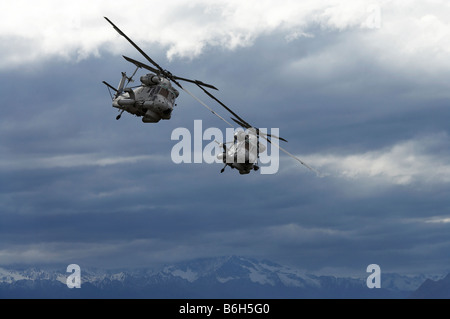 Hélicoptères Seasprite Kaman SH 2G Seasprite sur Warbirds Airshow Wanaka Wanaka ile sud Nouvelle Zelande Banque D'Images